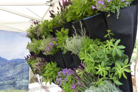 Garten- und Genussmarkt 2019 in Kastelbell. Fotos: Sepp