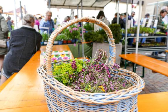 Georgimorkt in Mals (22. April 2023); Fotos: Sepp
