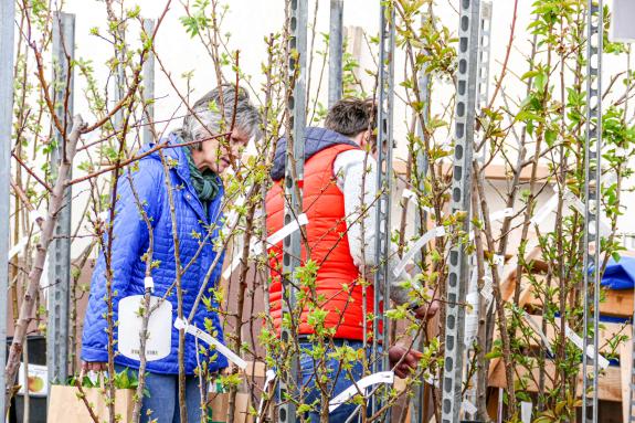 Georgimorkt in Mals (22. April 2023); Fotos: Sepp