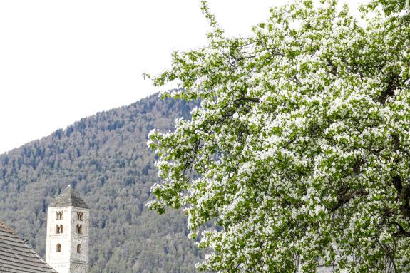 Georgimorkt in Mals (22. April 2023); Fotos: Sepp