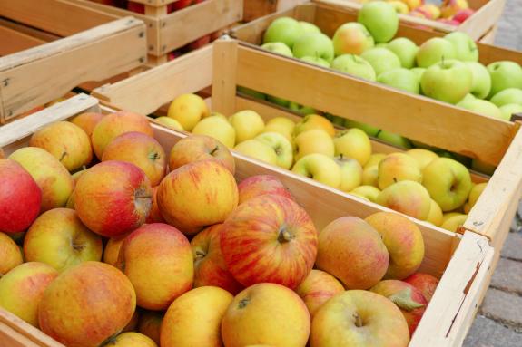 Herbstmarkt in Glurns (27.09.2025); Fotos: Sepp