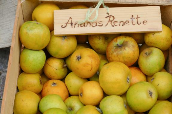 Herbstmarkt in Glurns (27.09.2025); Fotos: Sepp