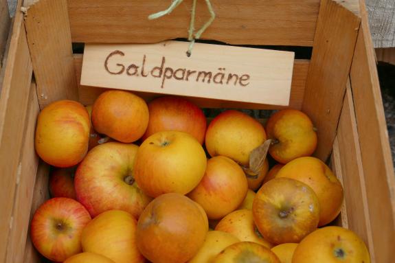 Herbstmarkt in Glurns (27.09.2025); Fotos: Sepp