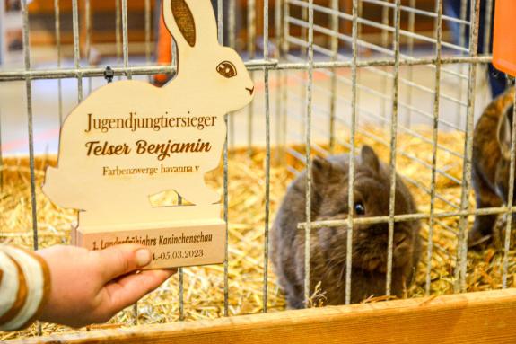 Kaninchenausstellung 2023 in Schlums; Fotos: Michael