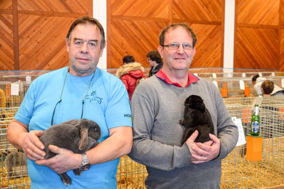 Kaninchenausstellung 2023 in Schlums; Fotos: Michael