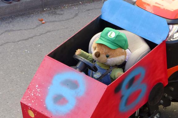 Laaser Fasnachtsumzug 2019; Fotos: Sepp