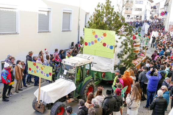 Laaser Fasnachtszumzug 2025; Fotos: Sepp