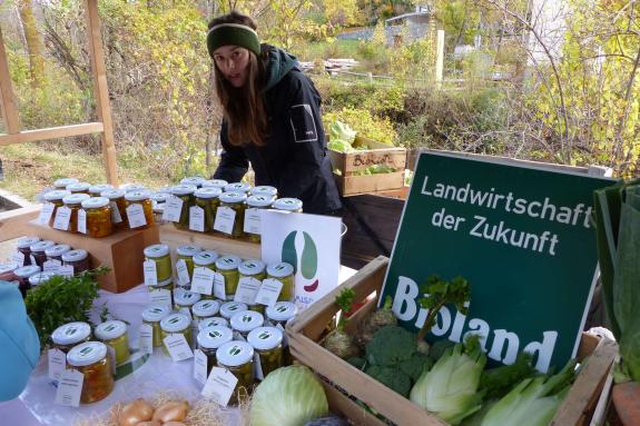 Laatscher Markt 2017; Fotos Sepp