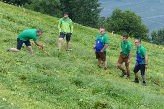 Landesentscheid im Handmähen am 28. Juli 2019 in Trumsberg in Kastelbell. Fotos: Sepp