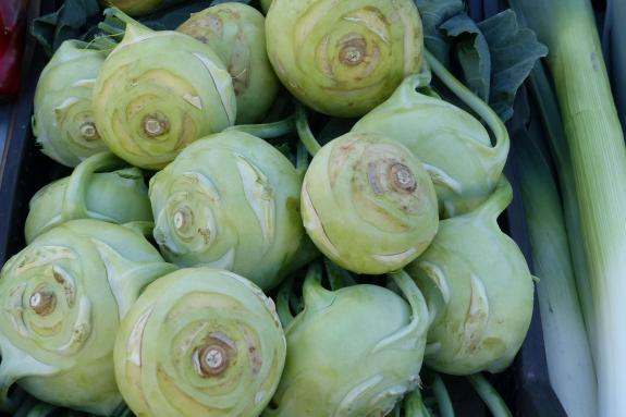 Landsprachmarkt 2019 in Goldrain. Fotos: Sepp