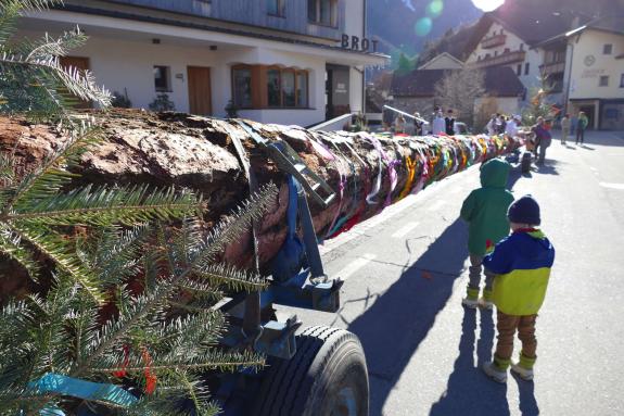 „Lootscher Fosnocht“ 2026; Fotos: Sepp