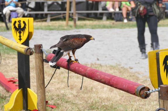 Ritterspiele in Schluderns, Fotos AM