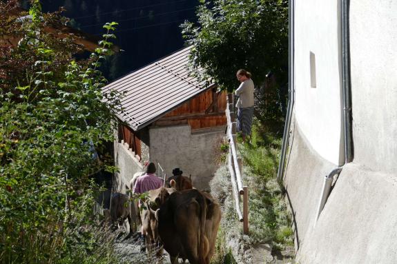 Streumarkt in Stilfs, 06.09.2025; Fotos: Sepp