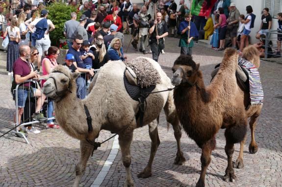 Südtiroler Ritterspiele 2026 in Schluderns; Fotos Sepp