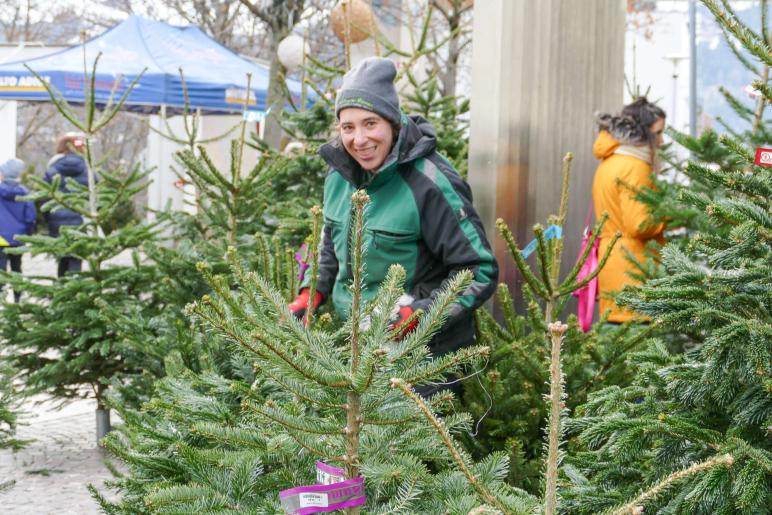 15. Weihnachtsmarkt in Schlanders; Fotos: Sepp