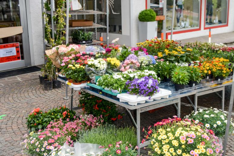 Garten & Genussmarkt Kastelbell 2018; Fotos: Inge