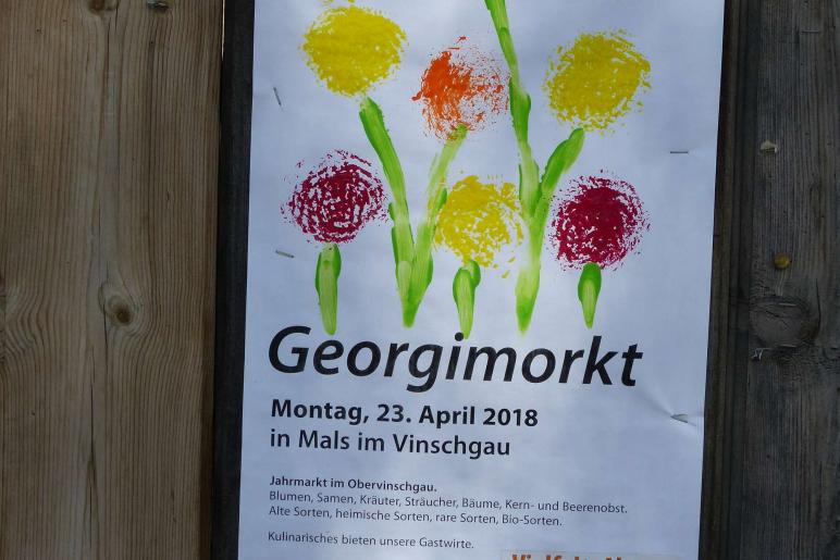 Georgimorkt 2018 in Mals; Fotos: Sepp