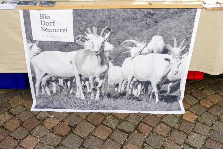 Georgimorkt in Mals (22. April 2023); Fotos: Sepp