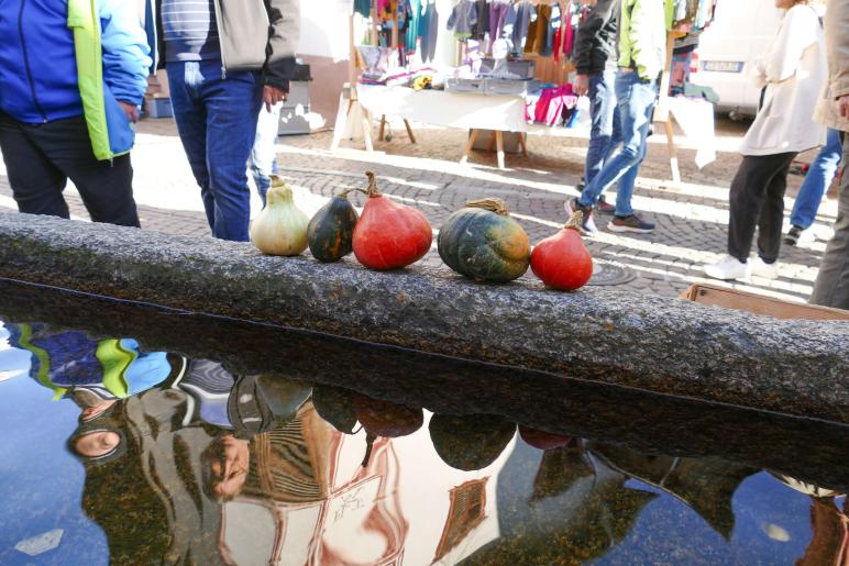 Gollimorkt in Mals (16.10.2025); Fotos: Sepp 