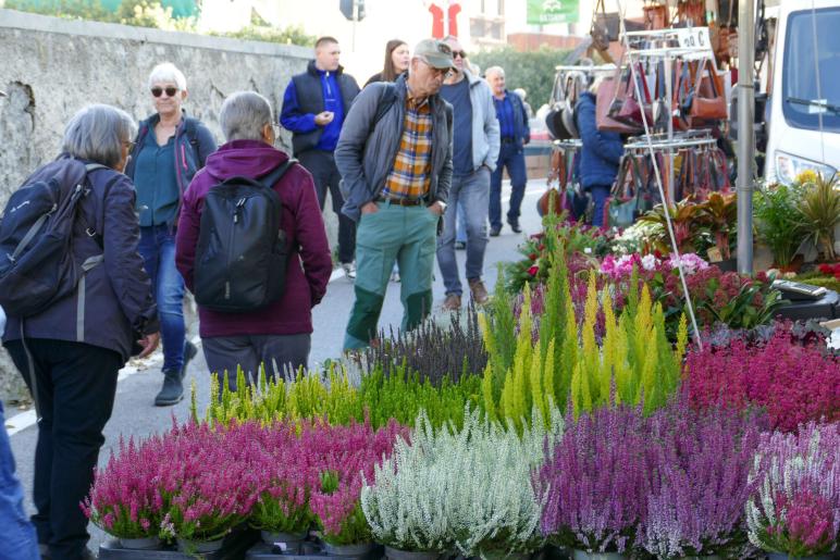 Gollimorkt in Mals (16.10.2025); Fotos: Sepp 