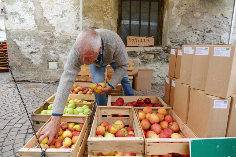 Herbstmarkt in Glurns (27.09.2025); Fotos: Sepp