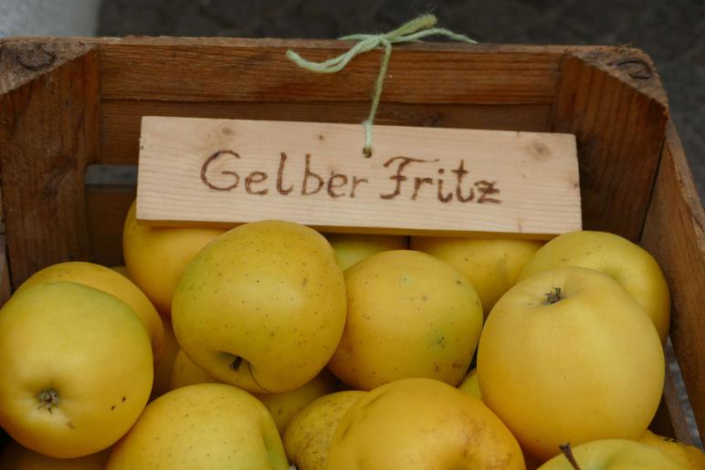 Herbstmarkt in Glurns (27.09.2025); Fotos: Sepp