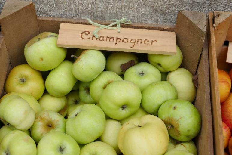 Herbstmarkt in Glurns (27.09.2025); Fotos: Sepp