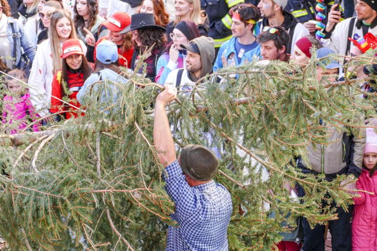 Laaser Fasnachtszumzug 2025; Fotos: Sepp