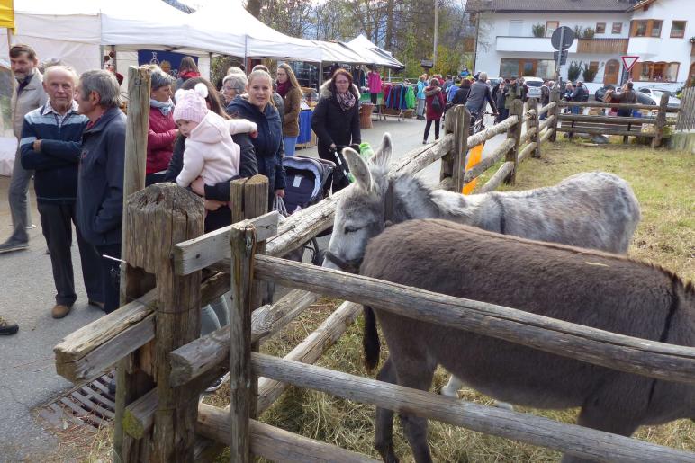 Laatscher Markt 2017; Fotos Sepp