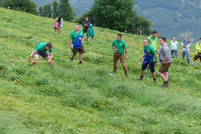 Landesentscheid im Handmähen am 28. Juli 2019 in Trumsberg in Kastelbell. Fotos: Sepp