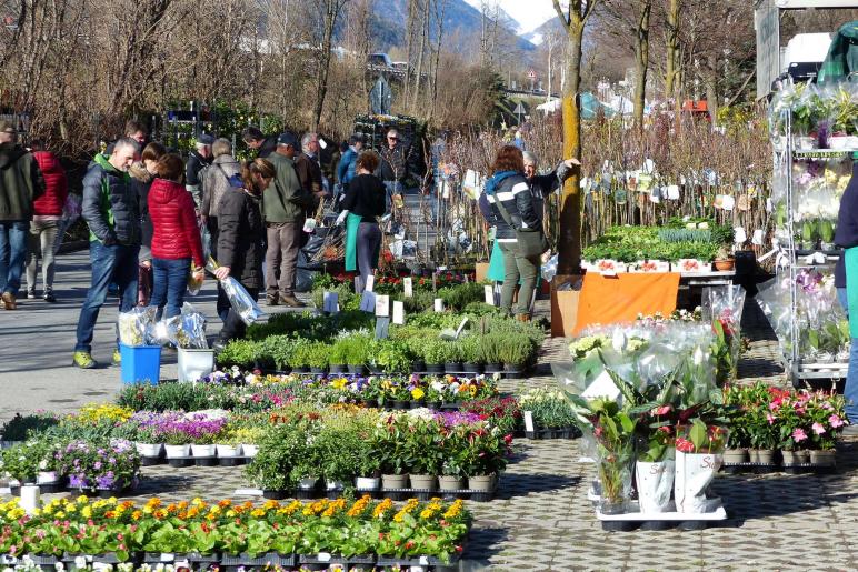 Landsprachmarkt 2019 in Goldrain. Fotos: Sepp