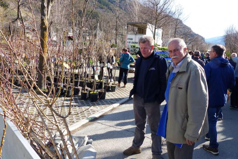 Landsprachmarkt 2019 in Goldrain. Fotos: Sepp