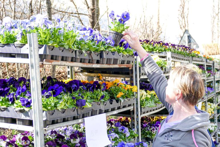 Landsprachmarkt in Goldrain, 17.03.2023; Fotos: Sepp 