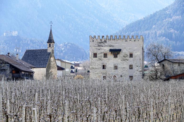 Landsprachmarkt in Goldrain, 17.03.2023; Fotos: Sepp 