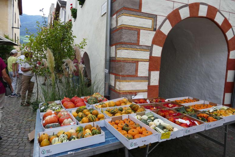 Palabira-Markt in Glurns, 05.09.2026, Fotos: Sepp