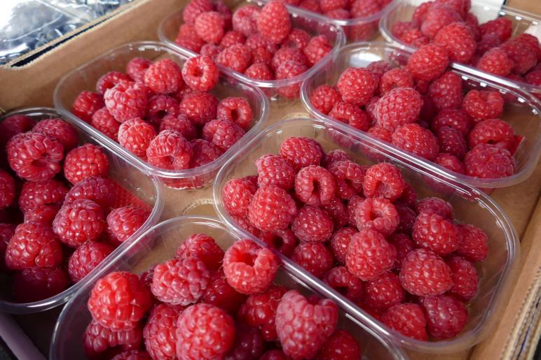 „Platzl Feschtl“ zum Auftakt des Prader Marktquintetts; Fotos: Sepp