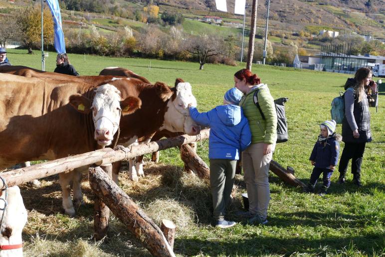 Sealamorkt in Glurns (3.11.25). Fotos: AM
