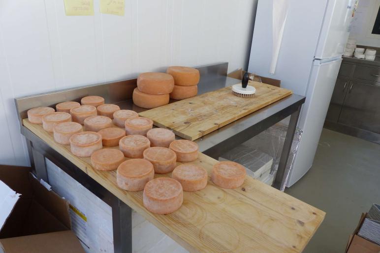 Sonnta-Hons-Morkt in Prad, 24. Juni 2019; Fotos: Sepp