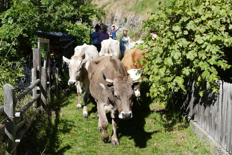 Streumarkt in Stilfs, 06.09.2025; Fotos: Sepp
