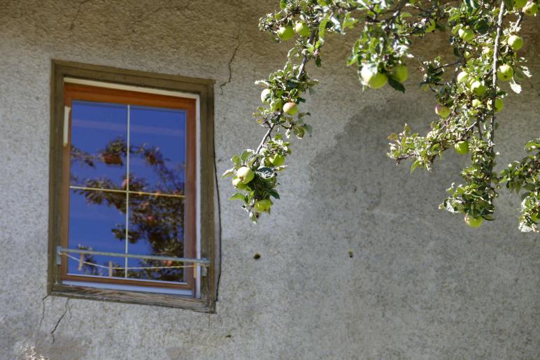 Streumarkt in Stilfs, 06.09.2025; Fotos: Sepp