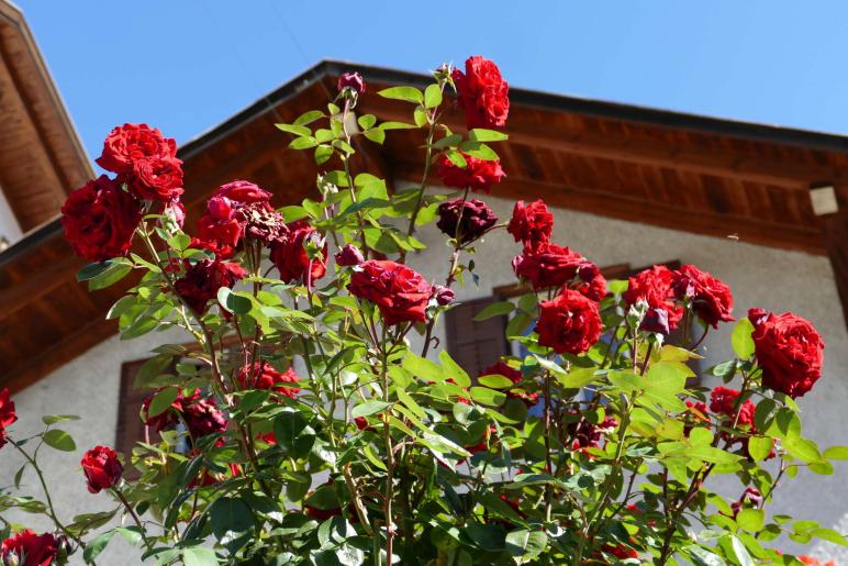 Streumarkt in Stilfs, 06.09.2025; Fotos: Sepp