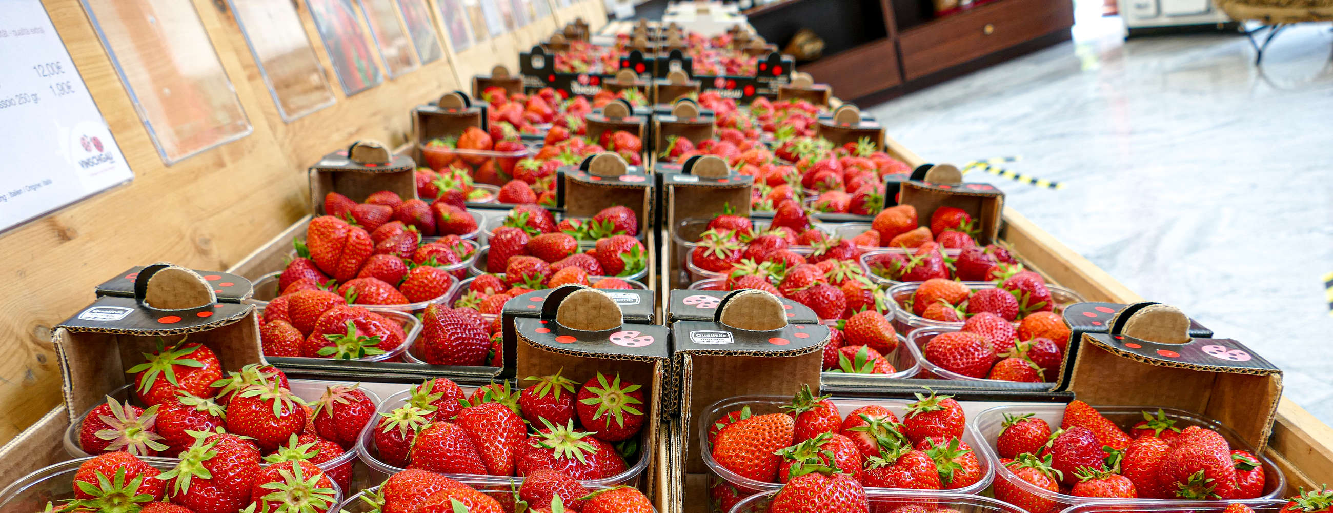 Thema - „Wir brauchen kühle Nächte und sonnige Tage“ - der Vinschger